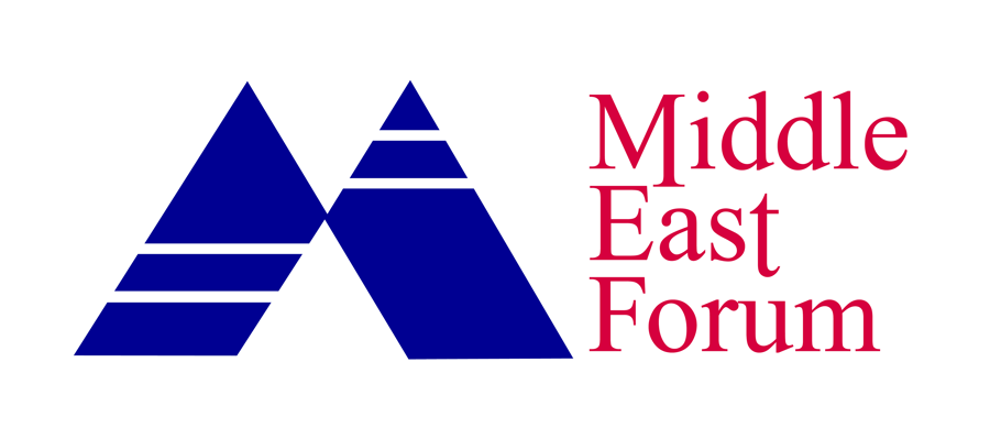 MEF Logo Hi-Res transparent