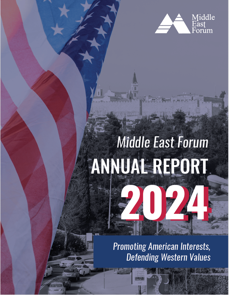 MEF 2024 Annual Report