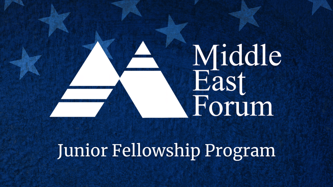 Junior Fellowship Program